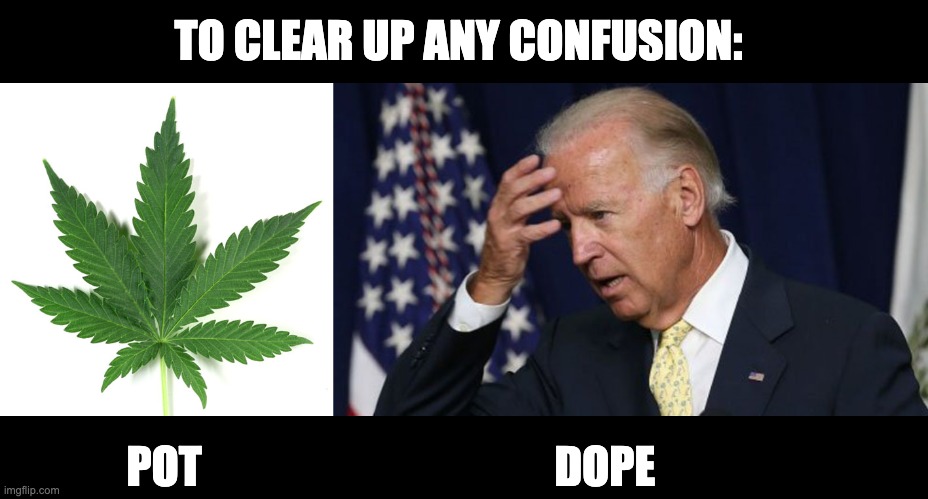 There's a difference! | TO CLEAR UP ANY CONFUSION:; POT                                        DOPE | image tagged in marijuana leaf,joe biden worries | made w/ Imgflip meme maker