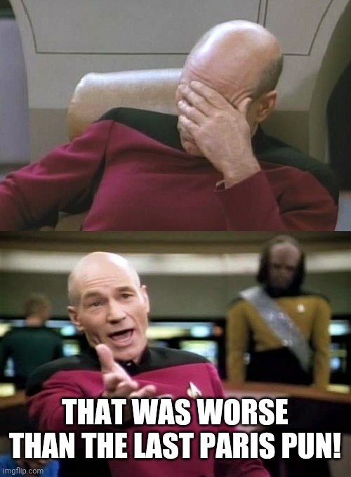 Picard Facepalm WTF Combo | THAT WAS WORSE THAN THE LAST PARIS PUN! | image tagged in picard facepalm wtf combo | made w/ Imgflip meme maker