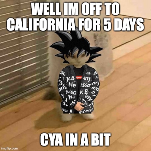 goku drip cat | WELL IM OFF TO CALIFORNIA FOR 5 DAYS; CYA IN A BIT | image tagged in goku drip cat | made w/ Imgflip meme maker