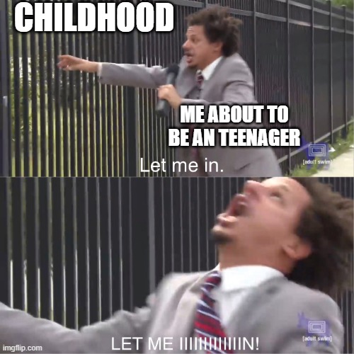 Understandable | CHILDHOOD; ME ABOUT TO BE AN TEENAGER | image tagged in let me in | made w/ Imgflip meme maker