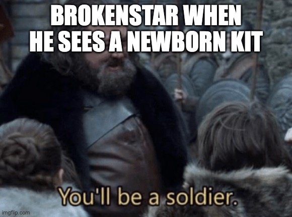 Brokenstar when he sees a newborn kit | BROKENSTAR WHEN HE SEES A NEWBORN KIT | image tagged in you'll be a soldier,warrior cats | made w/ Imgflip meme maker