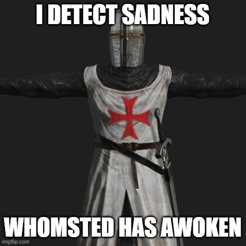 T posing crusader | I DETECT SADNESS WHOMSTED HAS AWOKEN | image tagged in t posing crusader | made w/ Imgflip meme maker