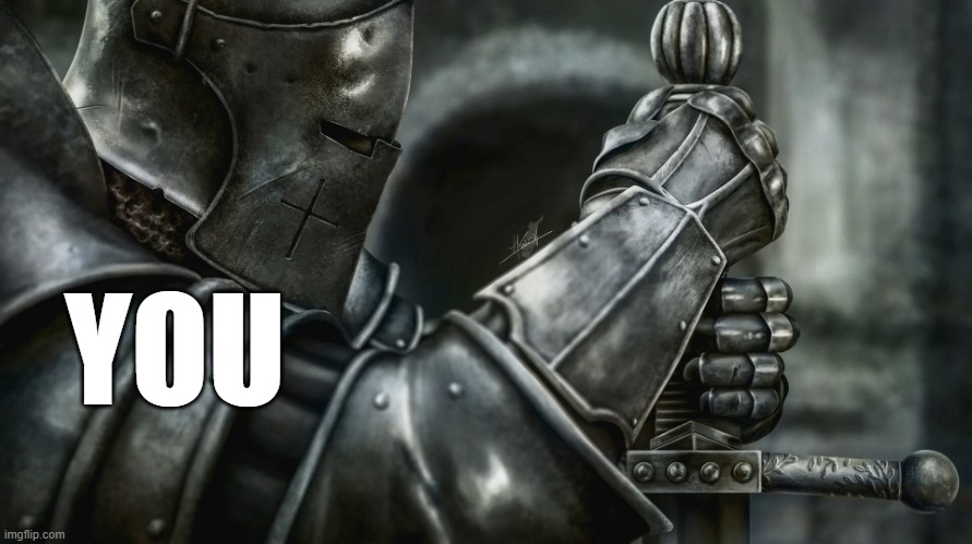 crusader battle ready | YOU | image tagged in crusader battle ready | made w/ Imgflip meme maker