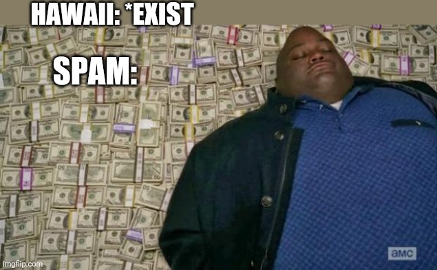 huell money | HAWAII: *EXIST; SPAM: | image tagged in huell money | made w/ Imgflip meme maker