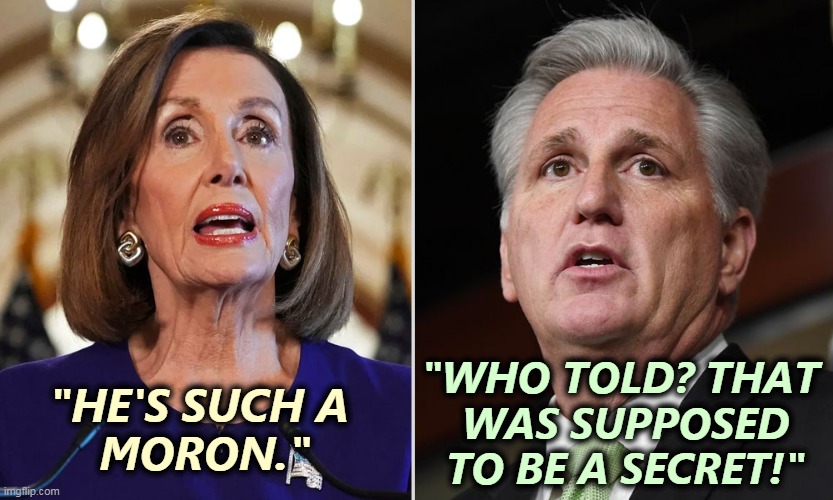 Everybody knows McCarthy is a moron. There are some secrets that can't be kept. | "WHO TOLD? THAT 
WAS SUPPOSED TO BE A SECRET!"; "HE'S SUCH A 
MORON." | image tagged in nancy pelosi,smart,kevin,moron | made w/ Imgflip meme maker