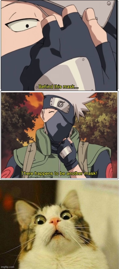 ANOTHER MASK?! | image tagged in memes,blank comic panel 1x2,scared cat,kakashi,naruto | made w/ Imgflip meme maker