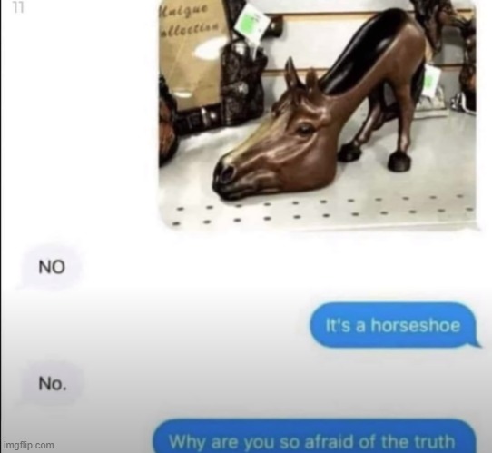 horseshoe | image tagged in fun,funny,horse | made w/ Imgflip meme maker