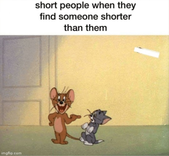 image tagged in tom and jerry,memes,short people,tall people | made w/ Imgflip meme maker