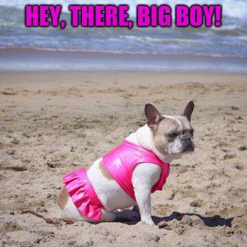 HEY, THERE, BIG BOY! | made w/ Imgflip meme maker