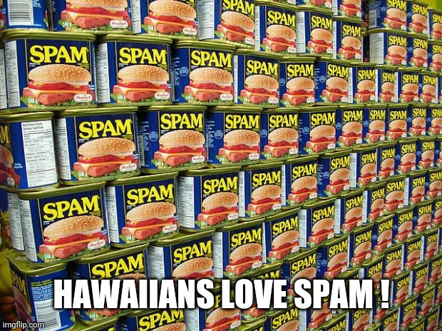 Spam, Delicous | HAWAIIANS LOVE SPAM ! | image tagged in spam delicous | made w/ Imgflip meme maker