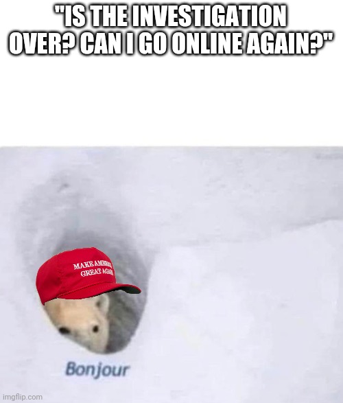 They've been very quiet lately | "IS THE INVESTIGATION OVER? CAN I GO ONLINE AGAIN?" | image tagged in bonjour,maga,terrorism,trump,conservatives | made w/ Imgflip meme maker