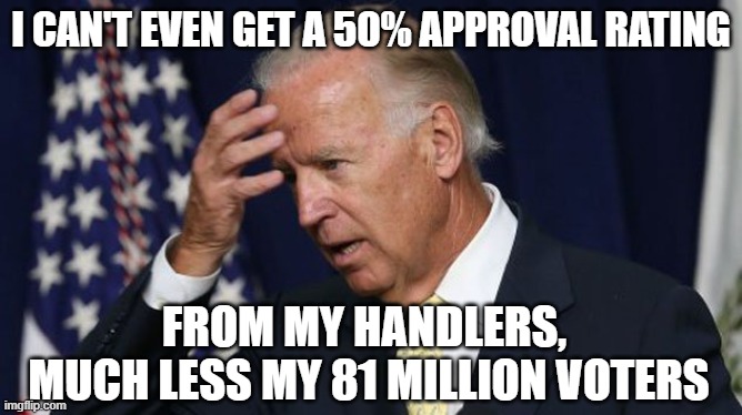 Joe Biden worries | I CAN'T EVEN GET A 50% APPROVAL RATING; FROM MY HANDLERS, 
MUCH LESS MY 81 MILLION VOTERS | image tagged in joe biden worries | made w/ Imgflip meme maker