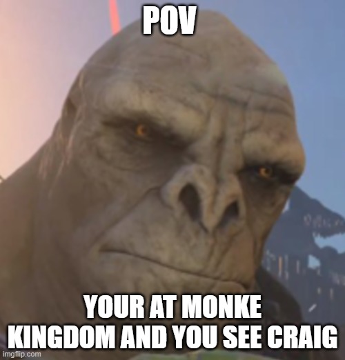 Craig | POV; YOUR AT MONKE KINGDOM AND YOU SEE CRAIG | image tagged in craig | made w/ Imgflip meme maker