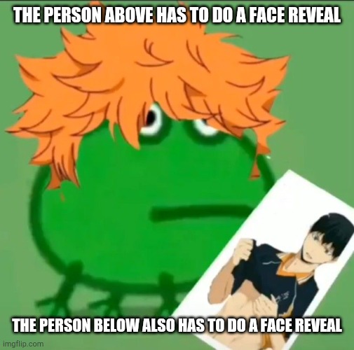 THE PERSON ABOVE HAS TO DO A FACE REVEAL; THE PERSON BELOW ALSO HAS TO DO A FACE REVEAL | made w/ Imgflip meme maker