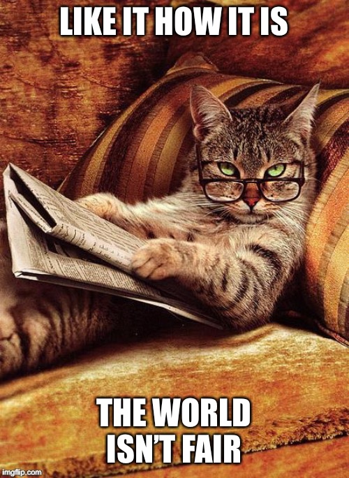 like it is cat | LIKE IT HOW IT IS THE WORLD ISN’T FAIR | image tagged in like it is cat | made w/ Imgflip meme maker