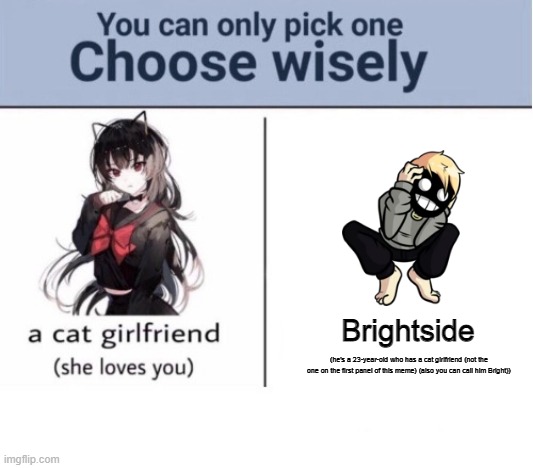 I pick Bright | Brightside; (he's a 23-year-old who has a cat girlfriend (not the one on the first panel of this meme) (also you can call him Bright)) | image tagged in choose wisely | made w/ Imgflip meme maker