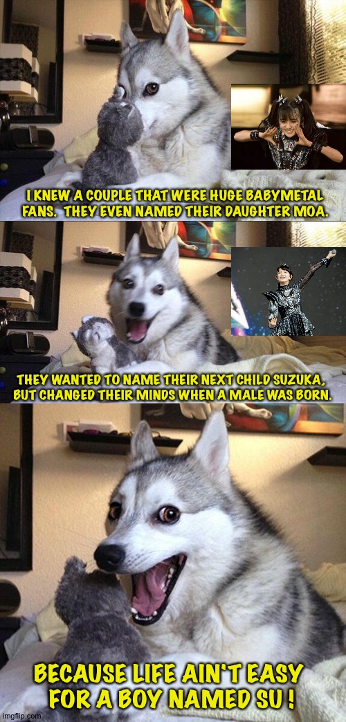 Brace yourselves for the dumbest Babymetal joke ever. | I KNEW A COUPLE THAT WERE HUGE BABYMETAL FANS.  THEY EVEN NAMED THEIR DAUGHTER MOA. THEY WANTED TO NAME THEIR NEXT CHILD SUZUKA, 
BUT CHANGED THEIR MINDS WHEN A MALE WAS BORN. BECAUSE LIFE AIN'T EASY 
FOR A BOY NAMED SU ! | image tagged in memes,bad pun dog,babymetal | made w/ Imgflip meme maker
