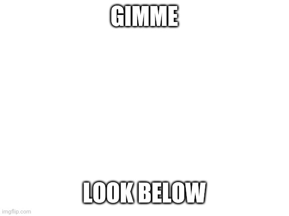 Blank White Template | GIMME; LOOK BELOW | image tagged in blank white template | made w/ Imgflip meme maker