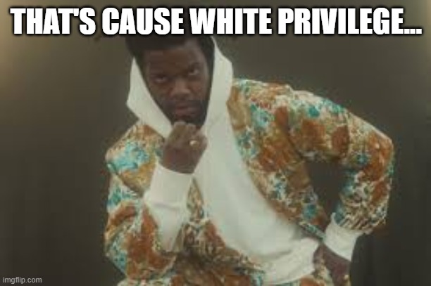 Fly | THAT'S CAUSE WHITE PRIVILEGE... | image tagged in fly | made w/ Imgflip meme maker