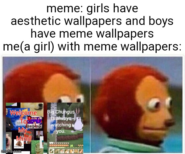 Maybe i am a boy | meme: girls have aesthetic wallpapers and boys have meme wallpapers
me(a girl) with meme wallpapers: | image tagged in memes,monkey puppet,boys vs girls,wallpapers | made w/ Imgflip meme maker