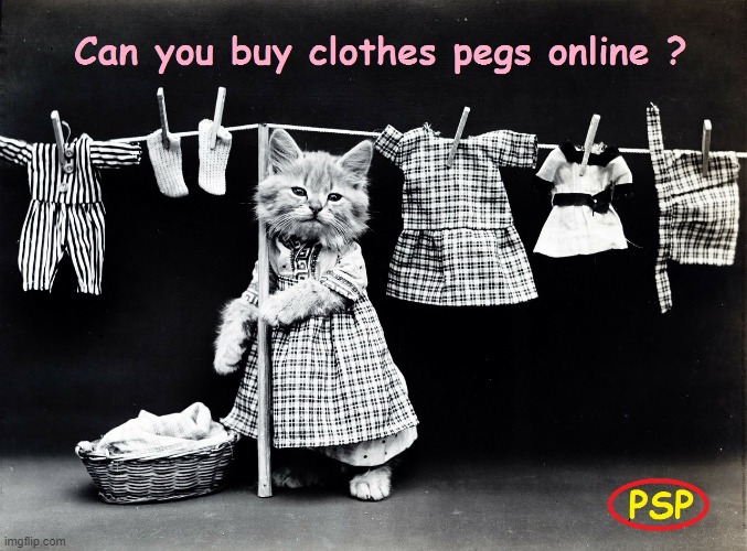 Clothes pegs | image tagged in online | made w/ Imgflip meme maker