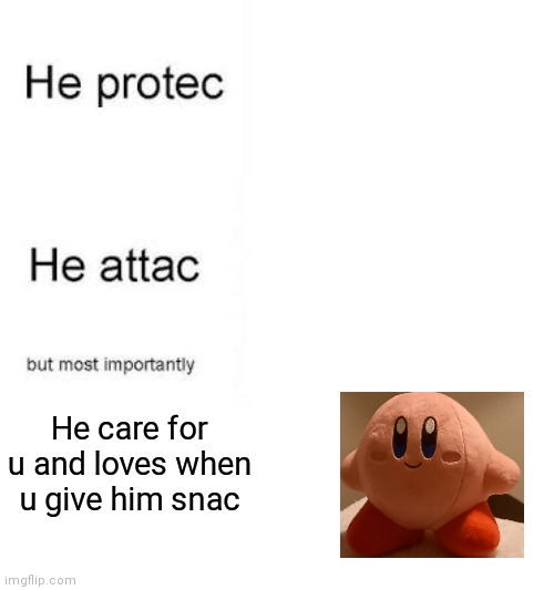 Id be willing to bet money that this meme is wholesome | He care for u and loves when u give him snac | image tagged in he protecc he attacc | made w/ Imgflip meme maker