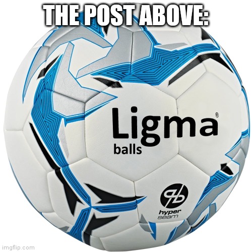 Ligma balls | THE POST ABOVE: | image tagged in ligma balls | made w/ Imgflip meme maker