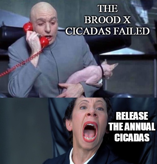 Dr Evil and Frau | THE BROOD X CICADAS FAILED; RELEASE THE ANNUAL CICADAS | image tagged in dr evil and frau,memes,cicada,cicadas | made w/ Imgflip meme maker