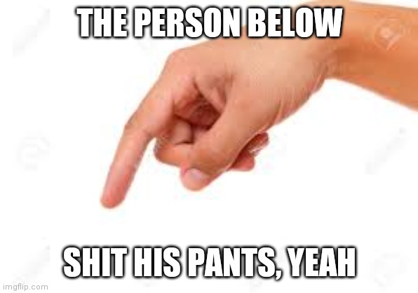 the person below | THE PERSON BELOW; SHIT HIS PANTS, YEAH | image tagged in the person below | made w/ Imgflip meme maker