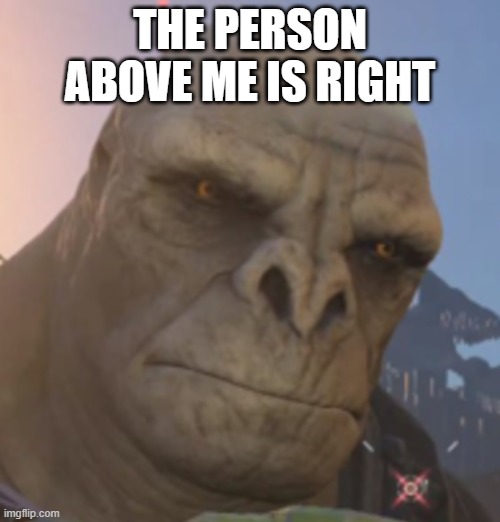 Craig | THE PERSON ABOVE ME IS RIGHT | image tagged in craig | made w/ Imgflip meme maker
