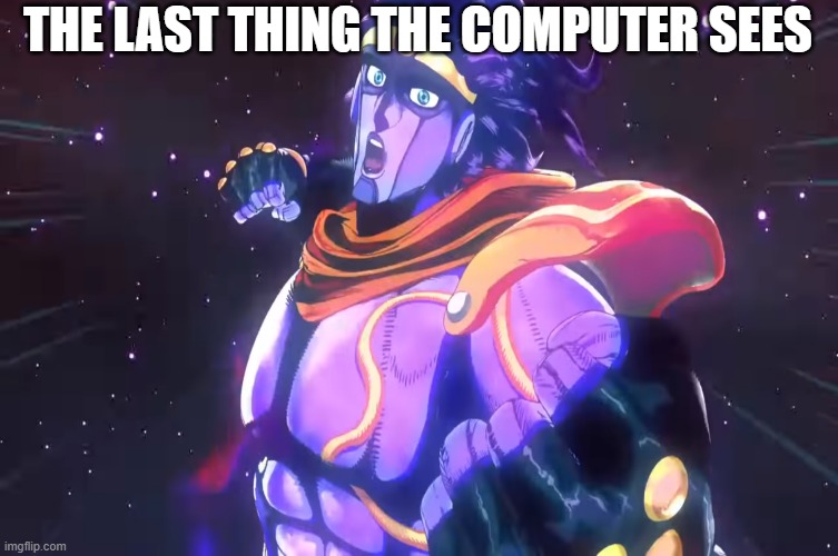 JoJo's Bizarre Adventure Star Platinum punch | THE LAST THING THE COMPUTER SEES | image tagged in jojo's bizarre adventure star platinum punch,funny,memes,jojo's bizarre adventure,jojo meme,jotaro | made w/ Imgflip meme maker