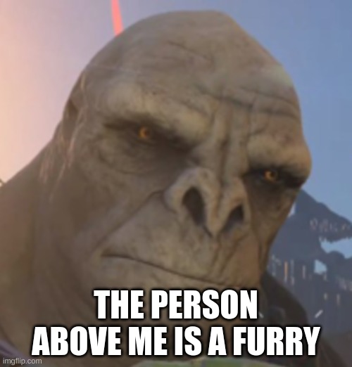 Craig | THE PERSON ABOVE ME IS A FURRY | image tagged in craig | made w/ Imgflip meme maker