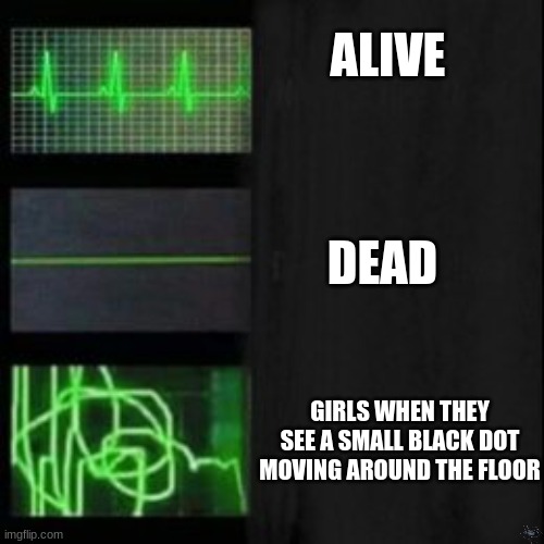 E | ALIVE; DEAD; GIRLS WHEN THEY SEE A SMALL BLACK DOT MOVING AROUND THE FLOOR | image tagged in leave it blank please,idk,why are you reading this,oh wow are you actually reading these tags | made w/ Imgflip meme maker