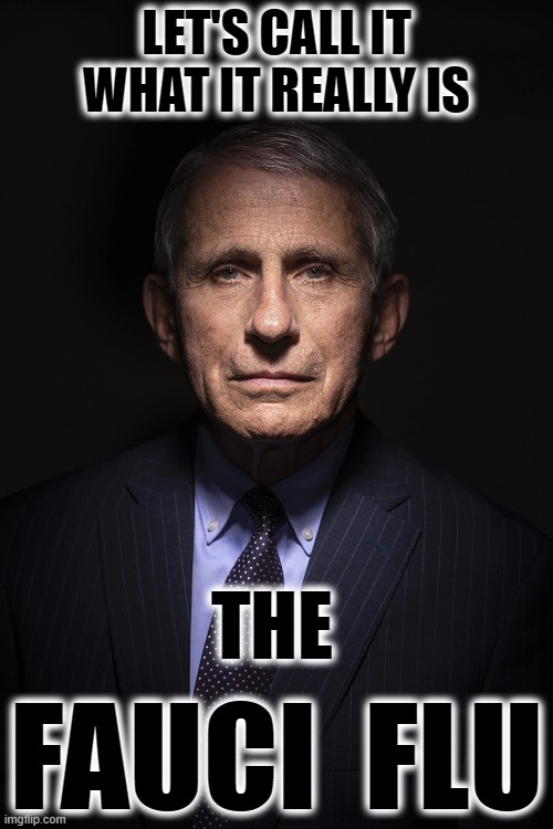 IT'S TIME TO CALL IT WHAT IT TRULY IS...THE FAUCI FLU | LET'S CALL IT WHAT IT REALLY IS; THE; FAUCI  FLU | image tagged in fauci flu,fauci,covid,jail him | made w/ Imgflip meme maker