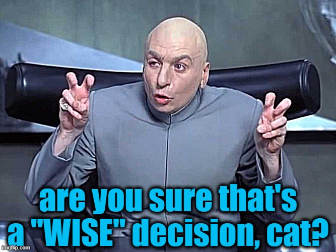 Dr Evil air quotes | are you sure that's a "WISE" decision, cat? | image tagged in dr evil air quotes | made w/ Imgflip meme maker