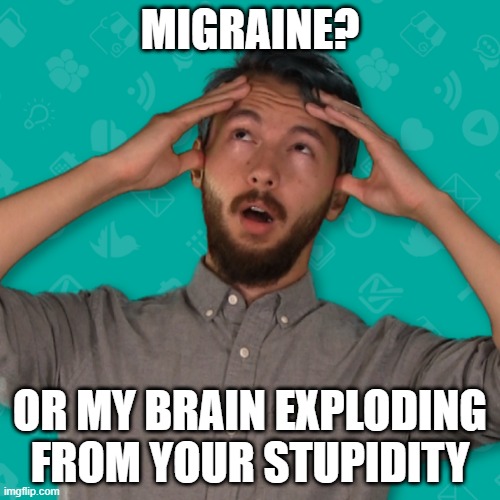 The Gratzi | MIGRAINE? OR MY BRAIN EXPLODING FROM YOUR STUPIDITY | image tagged in migraine,much wow,what,omg | made w/ Imgflip meme maker