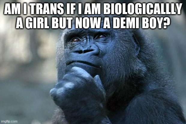 hmmm | AM I TRANS IF I AM BIOLOGICALLLY A GIRL BUT NOW A DEMI BOY? | image tagged in deep thoughts | made w/ Imgflip meme maker