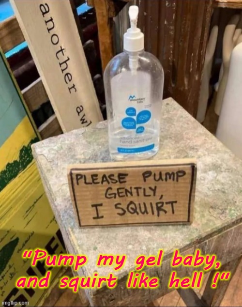 Pump my gel ! | "Pump my gel baby,
and squirt like hell !" | image tagged in squirtle squad | made w/ Imgflip meme maker