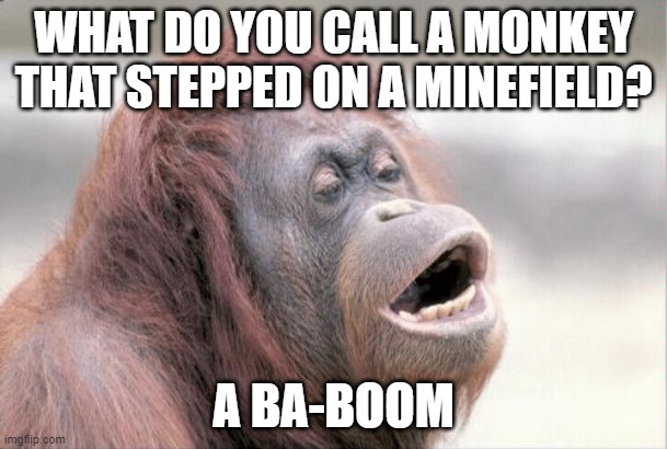 Daily Bad Dad Joke July 29 2021 | WHAT DO YOU CALL A MONKEY THAT STEPPED ON A MINEFIELD? A BA-BOOM | image tagged in memes,monkey ooh | made w/ Imgflip meme maker