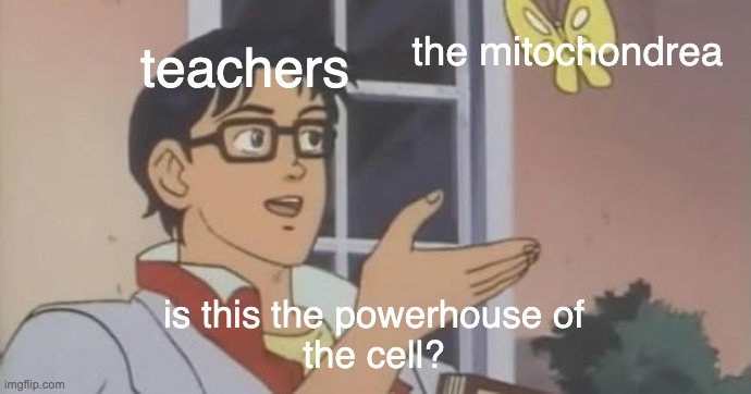 Yes... yes it is. | the mitochondrea; teachers; is this the powerhouse of
the cell? | image tagged in is this a pigeon,miochondrea,school | made w/ Imgflip meme maker