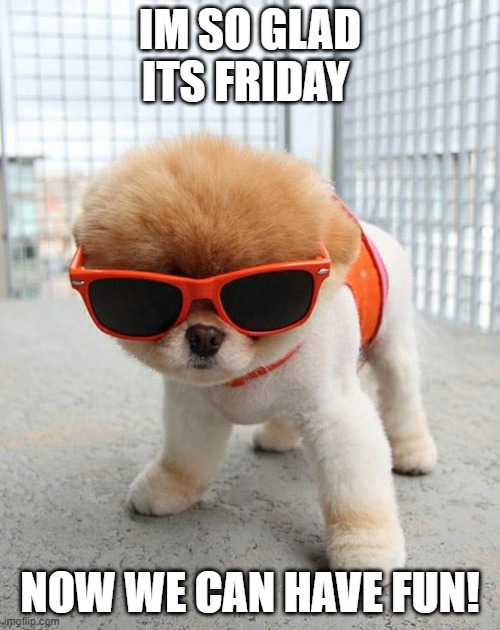 Time To Party! | IM SO GLAD ITS FRIDAY; NOW WE CAN HAVE FUN! | image tagged in cute puppies | made w/ Imgflip meme maker