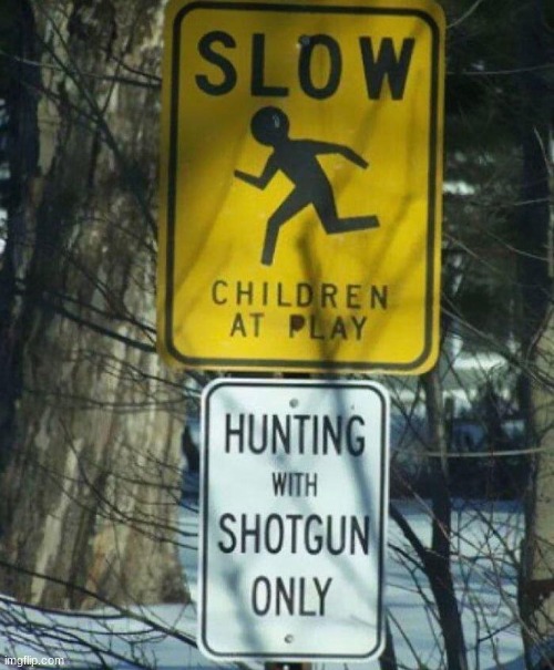 Slow Children at play | image tagged in slow children at play | made w/ Imgflip meme maker