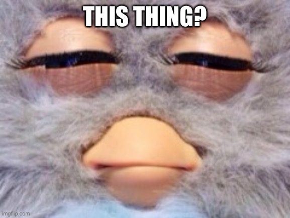 Furby Meme | THIS THING? | image tagged in furby meme | made w/ Imgflip meme maker