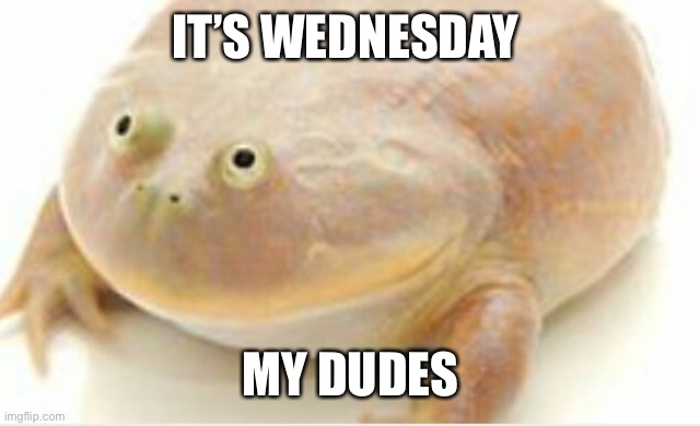 It’s Wednesday |  IT’S WEDNESDAY; MY DUDES | image tagged in it's wednesday my dudes,wednesday | made w/ Imgflip meme maker