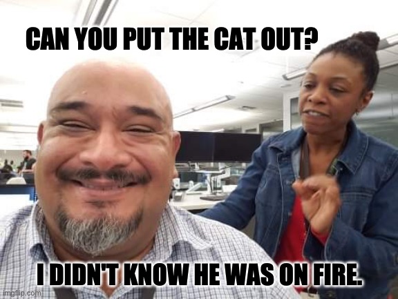Cat | CAN YOU PUT THE CAT OUT? I DIDN'T KNOW HE WAS ON FIRE. | image tagged in when she's upset | made w/ Imgflip meme maker