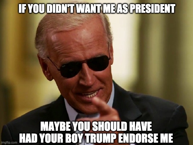 Oh Republicans how did you miss this play? | IF YOU DIDN'T WANT ME AS PRESIDENT; MAYBE YOU SHOULD HAVE HAD YOUR BOY TRUMP ENDORSE ME | image tagged in cool joe biden,trump endorsement | made w/ Imgflip meme maker