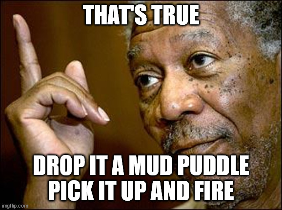 This Morgan Freeman | THAT'S TRUE DROP IT A MUD PUDDLE PICK IT UP AND FIRE | image tagged in this morgan freeman | made w/ Imgflip meme maker