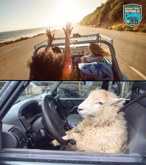 High Quality Visit California Ad vs Living There Blank Meme Template
