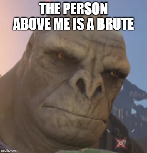 Craig | THE PERSON ABOVE ME IS A BRUTE | image tagged in craig | made w/ Imgflip meme maker