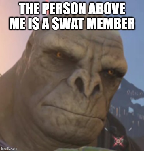 Craig | THE PERSON ABOVE ME IS A SWAT MEMBER | image tagged in craig | made w/ Imgflip meme maker